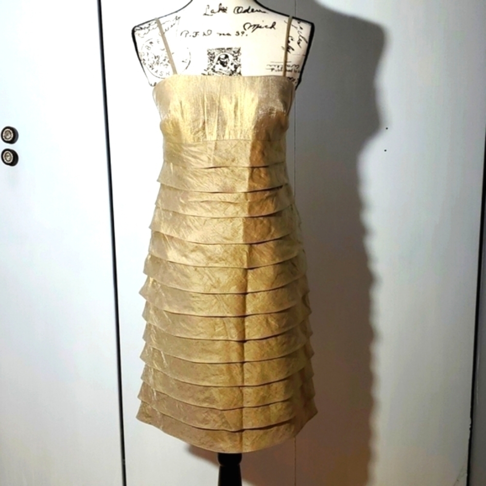 Jessica Howard| Gold Cream Shimmer Neutral Dress Tiered Vintage Midi Sz.6P